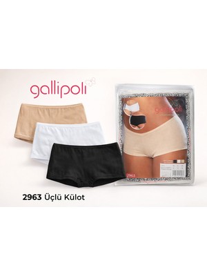 Gallipoli 2963-KADIN Pamuk Mini Şort Külot З'lü Paket (Beyaz/ten/siyah)