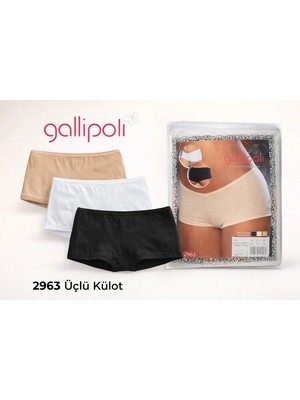 Gallipoli 2963-KADIN Pamuk Mini Şort Külot З'lü Paket (Beyaz/ten/siyah)