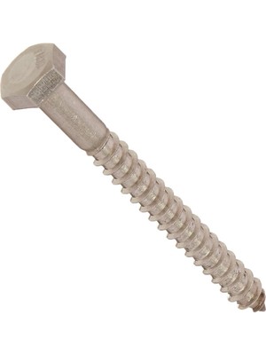 The Group 832010 1/4 x 2-1/2-Inç Paslanmaz Çelik Altıgen Uçlu Vida, 25'li Paket