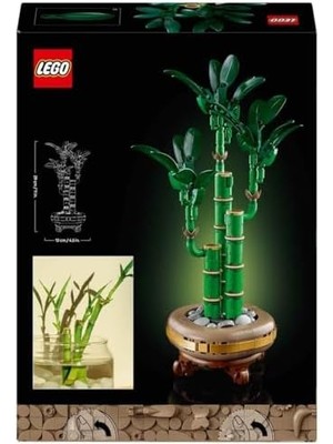 Şans Bambusu 10344 – Yetişkin Kadın ve Erkekler Için Bambu Sapları, Çakıl Taşları ve Ahşap Efektli Saksı Içeren Dekoratif Bitki Seti, Ev ve Ofis Dekorasyonu Hediye Fikri (325 Parça)