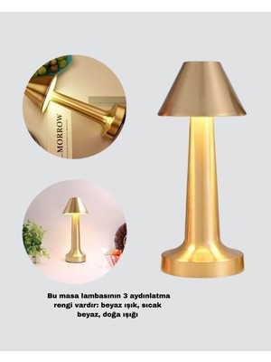 Ethab Ticaret Modern Metal Masa Lambası 3 Işık Renkli Kademesiz Parlaklık Ayarlı - GL002V-7MKS41