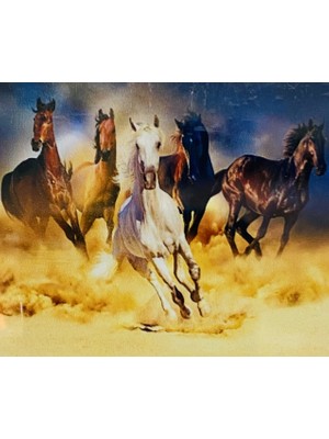 Elegantshop 5d Yapışan Boncuk Mozaik Tablo 40*50 cm H5X20