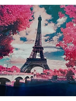 Elegantshop 5d Yapışan Boncuk Mozaik Tablo 40*50 cm H5X28