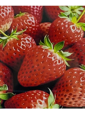 Elegantshop 5d Yapışan Boncuk Mozaik Tablo 40*50 cm H5X27