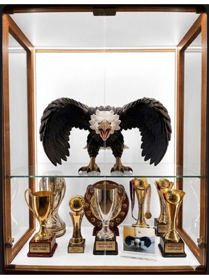 Büyük boy Kartal Figürü, Dekoratif Kartal Heykeli, Kartal Biblosu, Kartal Süsü, Ofis Çalışma Masa Üstü Kartal görseli ortamında farklılık katacaktır. Gücün simgesi