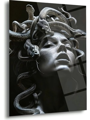 Shiny Art Medusa Portre Cam Tablo - MOD162