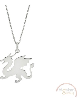 Bigakan Ejderha Taşsız Model 925 Ayar Gümüş Kadın Kolye