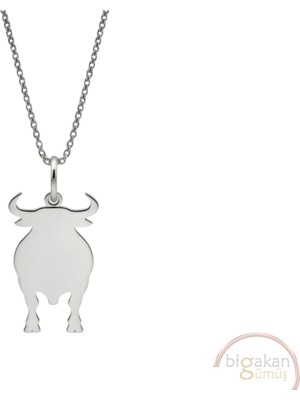 Bigakan Minimalist Boğa Tasarımı Taşsız Model 925 Ayar Gümüş Kadın Kolye