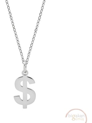 Bigakan Dolar Para Birimi Taşsız Model 925 Ayar Gümüş Kadın Kolye