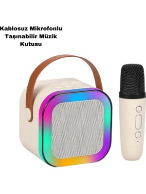Tek Mikrofonlu Kareoke Midastech