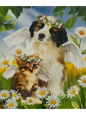 Elegantshop 5d Yapışan Boncuk Mozaik Tablo 40*50 cm H5X36