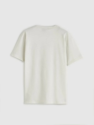 LC Waikiki Gri Brawl Stars Baskılı Erkek Çocuk Tişört