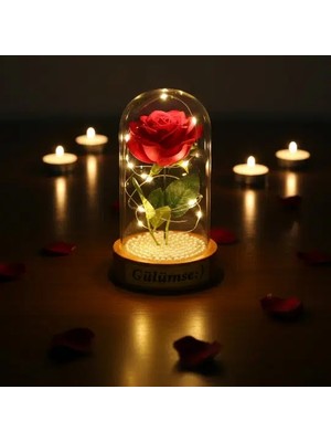 Özfırat Pvc Yapı Incili Ledli Gül Fanus