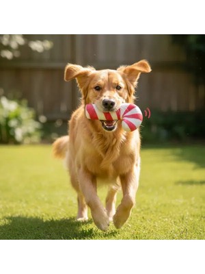 Özfırat Pvc Yapı Sesli Baston Şeker Oyuncak