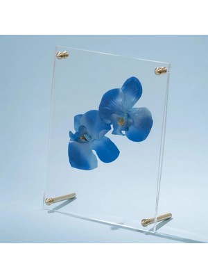 Qua Home Orive Pirinç Ayaklı Pleksi Fotoğraf Çerçevesi 18X23 cm