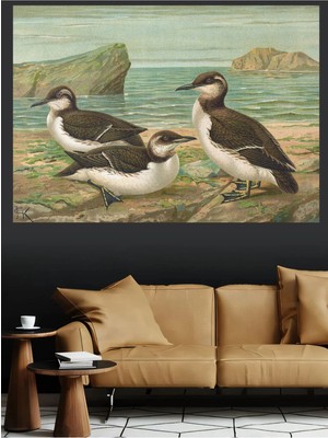 Mushen Studio Deniz Kuşları Natürmort Kanvas Tablo Klasik Duvar Dekoru Sanat Eseri Çerçevesiz Ev