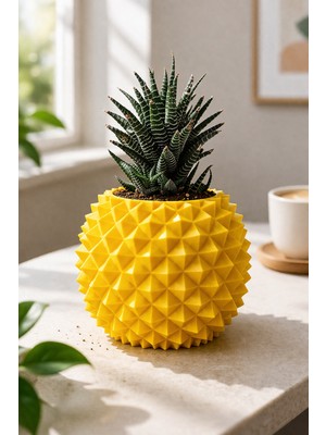 Otscraft Studio Ananas Formlu Sukulent Saksısı I Kaktüs Saksısı