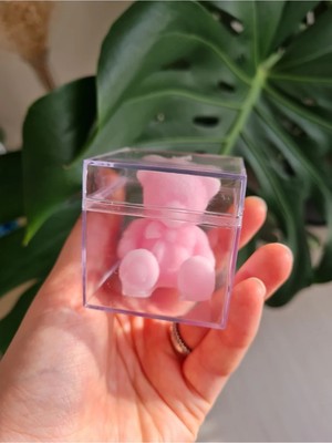 Verda Desing Kutulu Pembe Ayıcık El Yapımı Dekoratif Tasarım Mum (6 Adet)