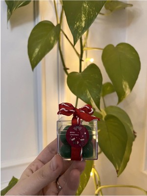 Verda Desing Yılbaşı Hediyesi Notlu Kırmızı Kurdaleli ve Ipli Yeşil Kutulu Bubble El Yapımı Dekoratif Tasarım Mum