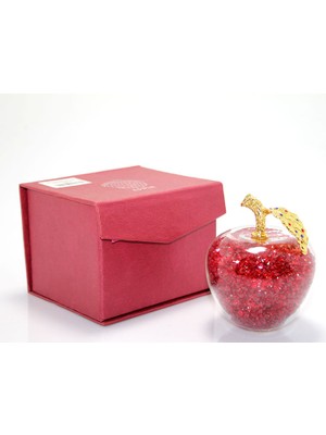 MiraLive Dekoratif Cam Küre Model 1