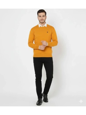 Zenvia Erkek Bisiklet Yaka Nakış Işlemeli Triko Kazak Yumuşak Dokulu Pamuklu Ince Dokuma, Uzun Kollu Ra