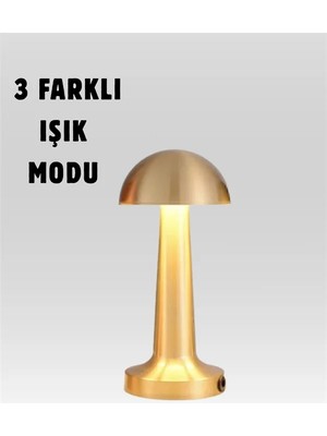 %100 Kademeli Ayarlanabilir Işık – USB Şarjlı Masa Lambası