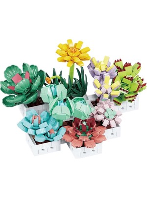 MiraLive Blx Sukulent Çiçek Buketi 8842