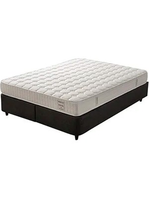 Alpino Mobilya Alpino Royal  Yatak