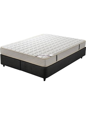 Alpino Mobilya Alpino Petra Yatak