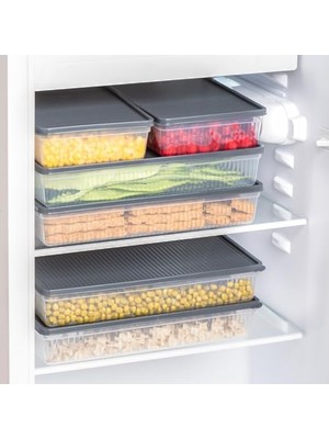 Daisy Store 1101 4 Lü Dikdörtgen No-Frost Derin Dondurucu Çok Amaçlı Yiyecek Saklama Kabı Seti