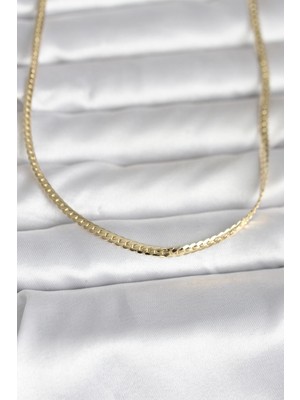 Pileli Store cm 14K Gold Renk Yassı Zincir Model 45 cm Kadın Kolye