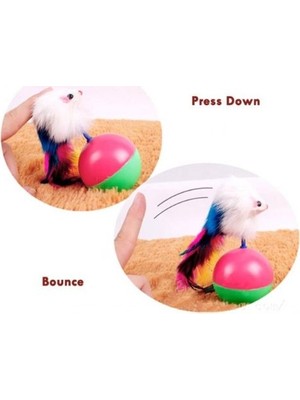 Pileli Store Kedi Fare Hacıyatmaz Oyunu