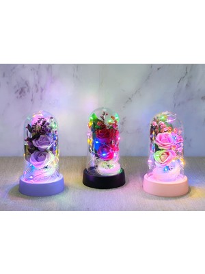 Pileli Store Işıklı Müzikli Romantik Fanus Tekli Gül