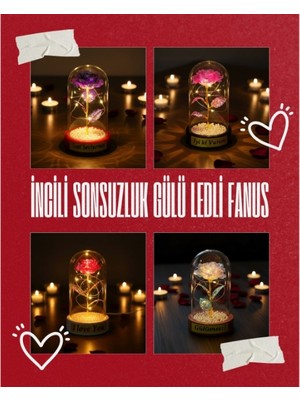 Pileli Store Incili Sonsuzluk Gülü Ledli Fanus