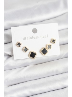 Pileli Store 316L Çelik Zirkon Taşlı Yonca Model Kadın Küpe Seti - TJ-BKP11586