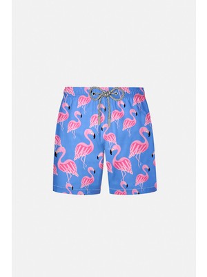 Ayyıldız 2106-SS Mavi Desenli Erkek Çocuk Deniz Şortu