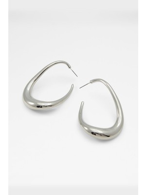 Aldo Peameth Kadın Küpe - Metalik