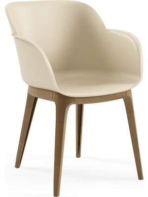 Tilia Shell-Wp Polipropilen Kollu Sandalye - Bahçe, Balkon, Dış Mekan, Kafe, Restoran Için