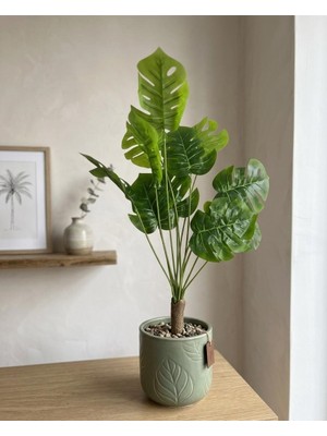 Bakburaya Yapay Çiçekçilik Yapay Deve Tabanı Ağacı 55 cm Ev Iş Yeri Dekorasyon Önerisi