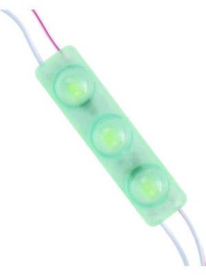 Powermaster 12 Volt 1.5 Watt Yeşil Yanıp Sönen Parlak Tek Renk 2835 69 x 16 mm IP65 160 – 180 Lümen