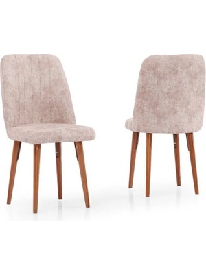 Kaktüs Avm Kare Gold Sandalye - Cappuccino - 1 Adet