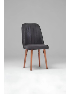 Kaktüs Avm Kare Gold Sandalye - Siyah - 1 Adet