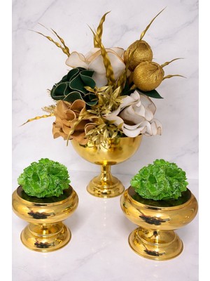 Maviessa Gold Eva Aranjman Yeşil Set