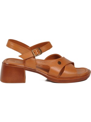 Pierre Cardin Taba Kadın Topuklu Sandalet PC-54622 Z
