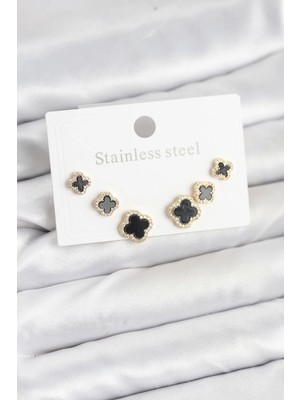 Inure Jewelry 316L Çelik Zirkon Taşlı Yonca Model Kadın Küpe Seti