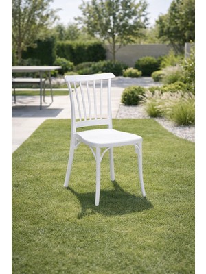 ModaLife 2 Adet Violet Beyaz Sandalye / Balkon-Bahçe-Mutfak