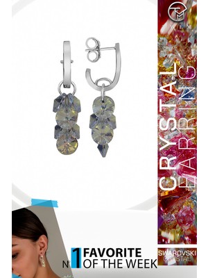 Swarovski Crystal Kadın Janjan Salkım Gümüş Küpe