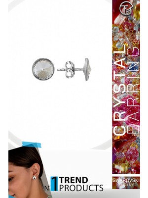 Swarovski Crystal Kadın Çivili Gümüş Küpe