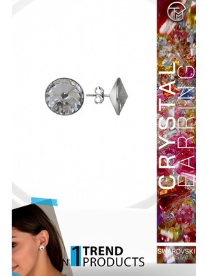 Swarovski Crystal Kadın Çivili Gümüş Küpe