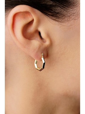 Fiyonk Kuyumculuk 14 Ayar Altın Mini Altıgen Küpe